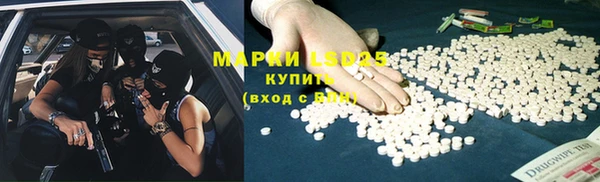 стафф Алзамай