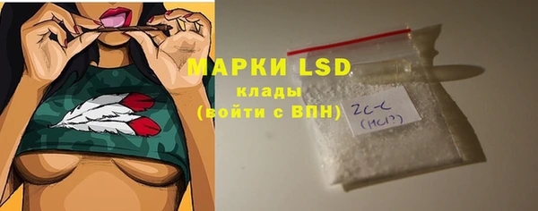 твердый Ельня