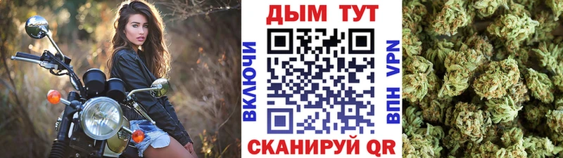 МАРИХУАНА Amnesia  omg маркетплейс  Артём 